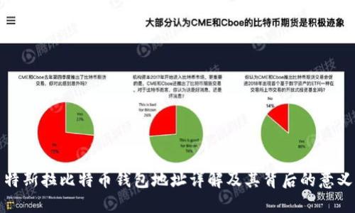 特斯拉比特币钱包地址详解及其背后的意义
