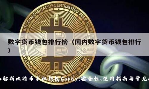 全面解析比特币手机钱包Copay:安全性、使用指南与常见问题