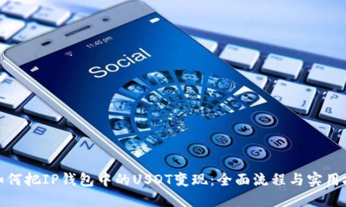 : 如何把IP钱包中的USDT变现:全面流程与实用技巧