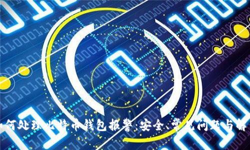 如何处理比特币钱包报警:安全、常见问题与解答