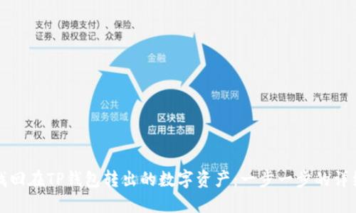 如何找回在TP钱包转出的数字资产:一步一步的详细指南