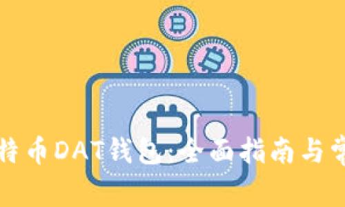 如何打开比特币DAT钱包:全面指南与常见问题解答