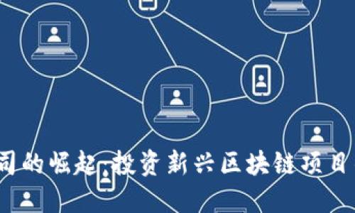 Web3风投公司的崛起:投资新兴区块链项目的机遇与挑战