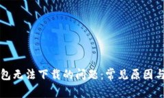 解决tp钱包无法下载的问题：常见原因与解决方案