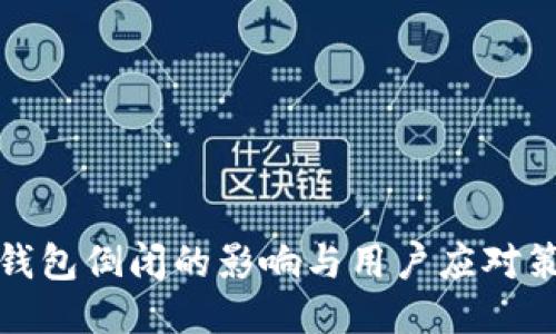 TP钱包倒闭的影响与用户应对策略