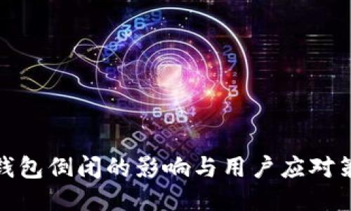 TP钱包倒闭的影响与用户应对策略
