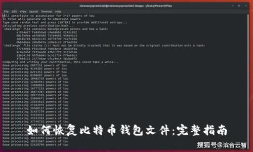 如何恢复比特币钱包文件:完整指南