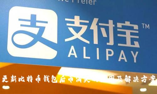 更新比特币钱包后币消失的原因及解决方案