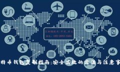 比特币钱包复制指南：安全高效的方法与注意事