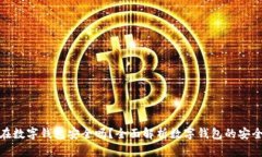 比特币放在数字钱包安全吗？全面解析