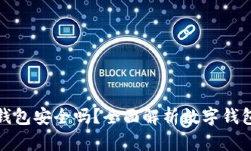 比特币放在数字钱包安全吗?全面解析数字钱包的安全性与风险