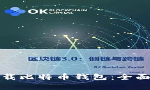 如何安全下载比特币钱包：全面指南与建议