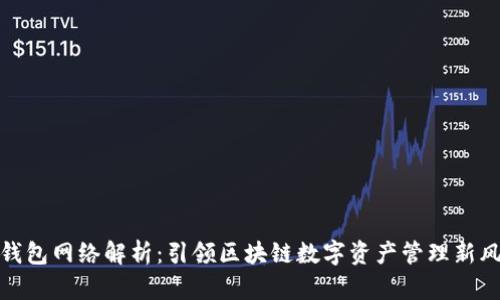 TP钱包网络解析：引领区块链数字资产管理新风潮