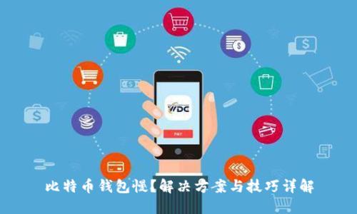 比特币钱包慢？解决方案与技巧详解