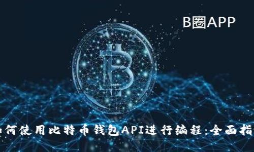 如何使用比特币钱包API进行编程：全面指南