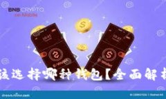 买了比特币该选择哪种钱包？全面解析