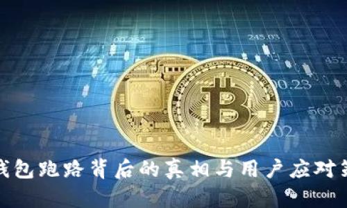 TP钱包跑路背后的真相与用户应对策略