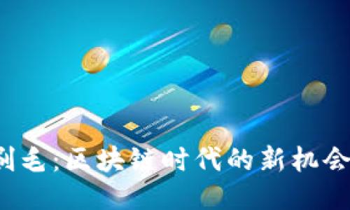 Web3刷毛：区块链时代的新机会与挑战