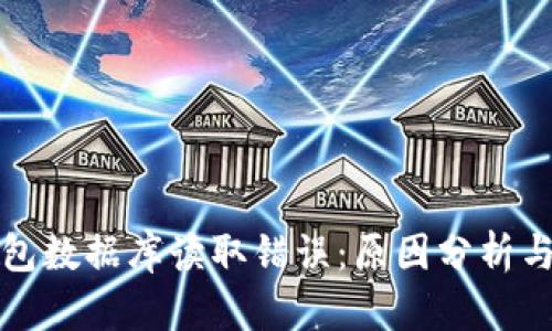 比特币钱包数据库读取错误：原因分析与解决方案