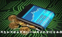 TP钱包如何安全管理BCH（比特币现金）
