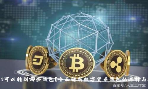 USDT可以转到哪些钱包？全面解析数字货币钱包的选择与安全