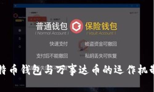 深入了解比特币钱包与万事达币的运作机制与使用指南