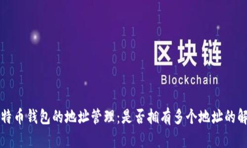 比特币钱包的地址管理:是否拥有多个地址的解读