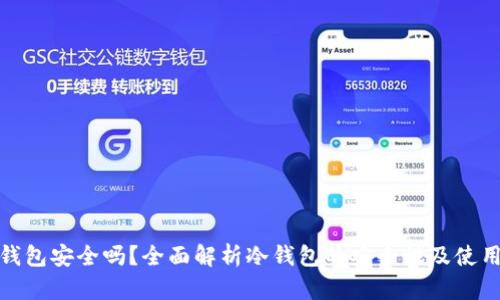 tp冷钱包安全吗?全面解析冷钱包的安全性及使用技巧