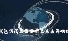 TP钱包倒闭原因分析及未来影响探讨
