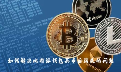 如何解决比特派钱包买币后消失的问题