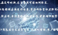    TP钱包看不到钱的原因及解决方法分