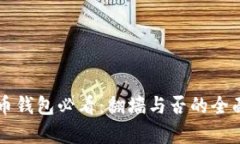 比特币钱包必看：翻墙与否的全面解析