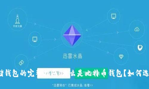 比特币存储钱包的完整指南:什么是比特币钱包?如何选择与使用?
