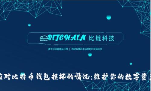 如何应对比特币钱包损坏的情况：维护你的数字资产安全