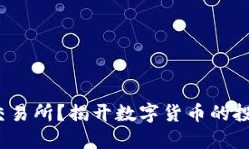 什么是LTT币交易所?揭开数字货币的投资机遇与风险