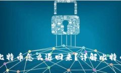 钱包转出去的比特币怎么退回来？详解