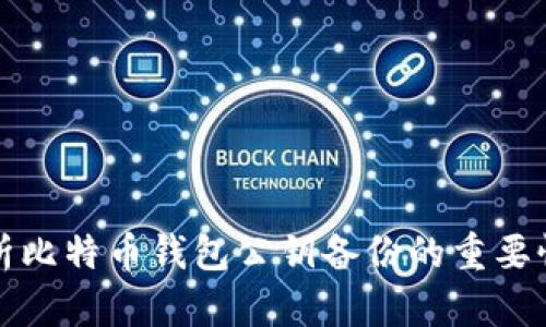 全面解析比特币钱包公钥备份的重要性与方法