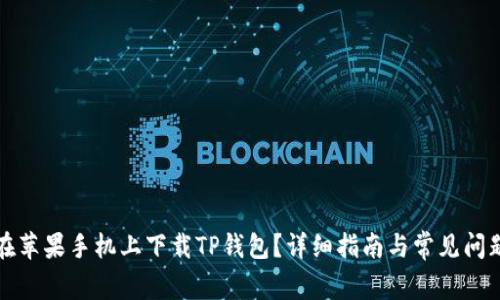 如何在苹果手机上下载TP钱包?详细指南与常见问题解答