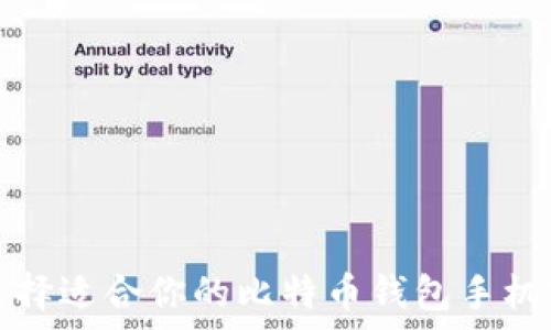   
如何选择适合你的比特币钱包手机客户端