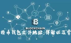 如何找到比特币钱包文件地址：详解以及常见问