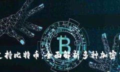 比太钱包不仅支持比特币：全面解析多种加密货