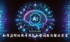 如何应对比特币钱包加密问题及解决方