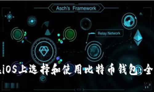 如何在iOS上选择和使用比特币钱包：全面指南