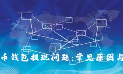 解决比特币钱包提现问题：常见原因与解决方案