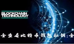 如何安全查看比特币钱包私钥：全面指
