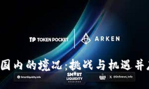 Web3在国内的境况：挑战与机遇并存的未来