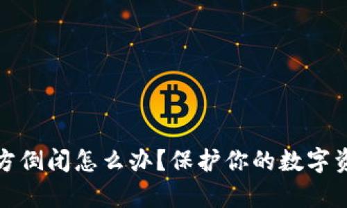比特币钱包官方倒闭怎么办？保护你的数字资产的有效策略