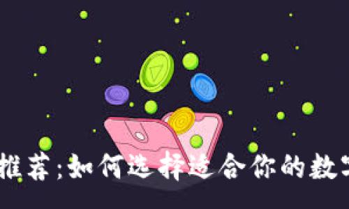 :
USDT钱包推荐：如何选择适合你的数字货币钱包