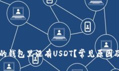 为什么你的钱包里没有USDT？常见原因