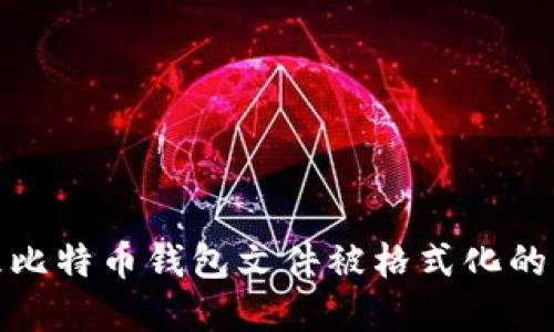 如何处理比特币钱包文件被格式化的紧急情况